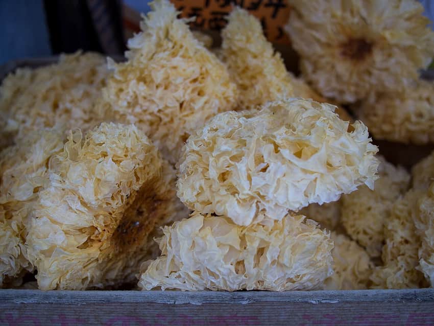 Dried Tremella shown as Tongjiang silver-ear product context