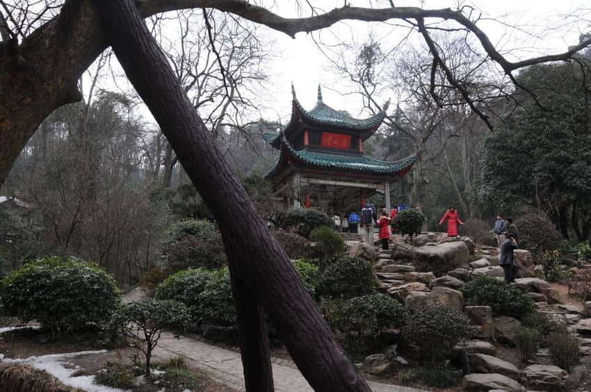 Aiwan Pavilion framed by trees and rocks
