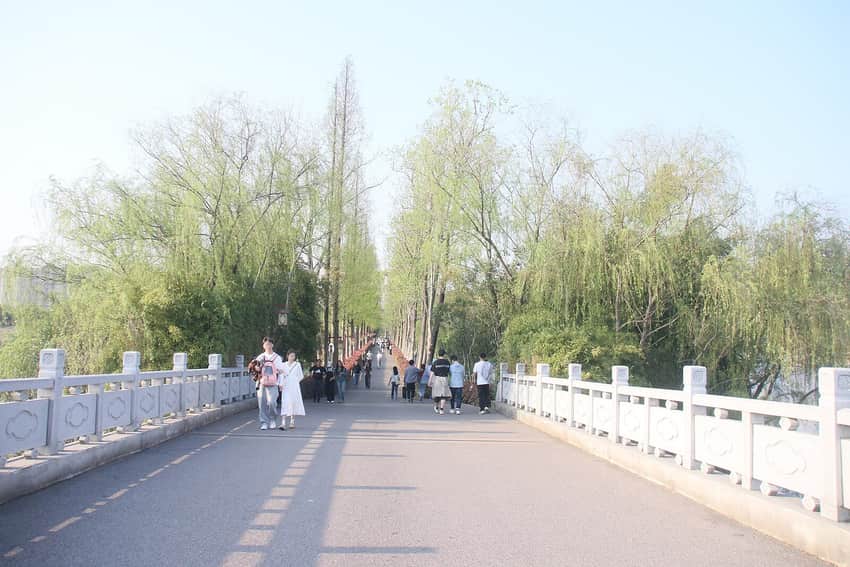 Visitors walking a tree-lined path in Yanghu Wetland Park