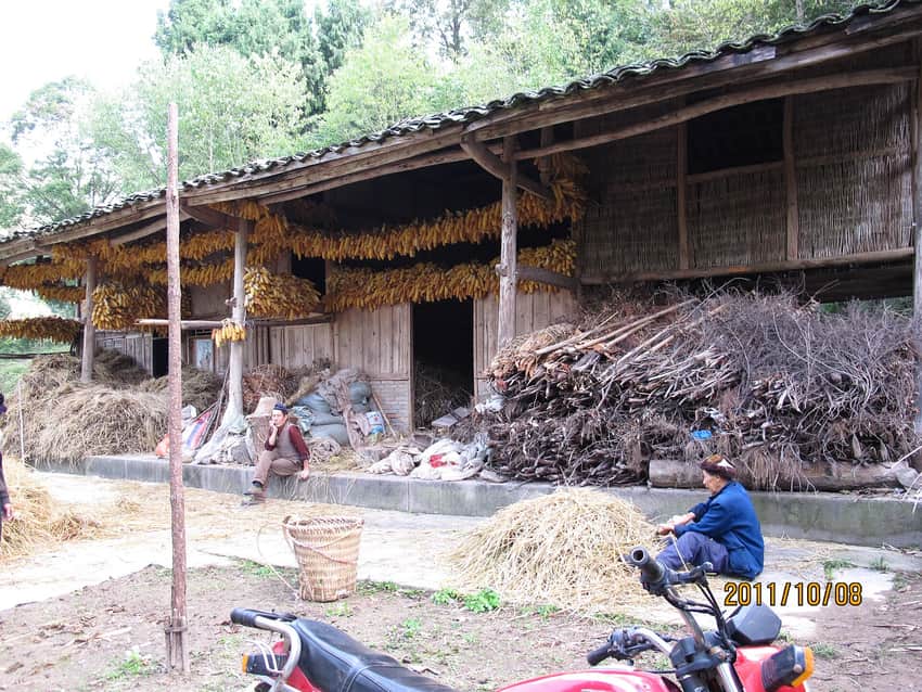 Household grain work, stored corn, and timber buildings in Jianshan Village
