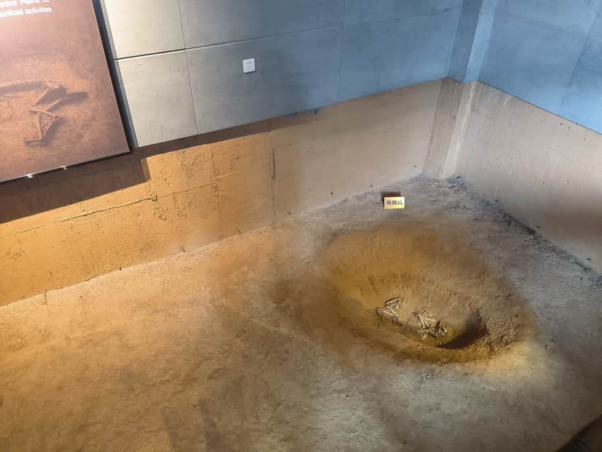 Protected archaeological pit with an animal burial in the Tanshishan site hall