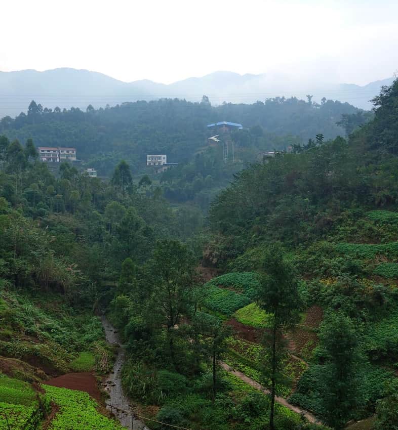 Cultivated valley landscape around the An Bing archaeological site