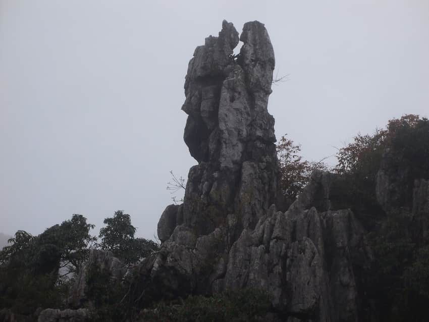Mist-shrouded limestone pinnacles on Huaying Mountain