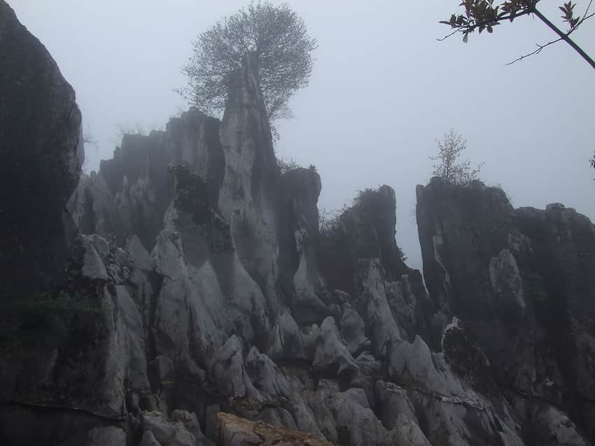 Close view of sharp karst rock fins on Huaying Mountain