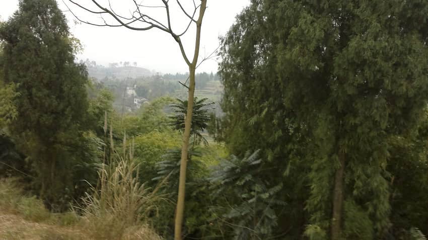 Vegetated rural hillside in Wusheng County