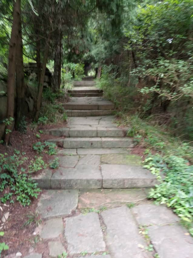 Maintained path along the Jianmen Shu Road