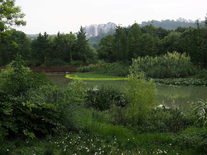 Shili Hetan section of Huaxi National Urban Wetland Park