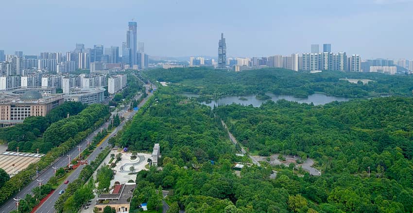 Contemporary Guanshanhu skyline