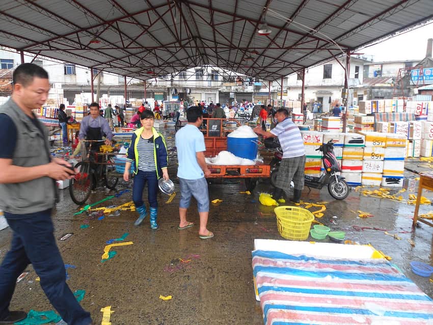 Early-morning wholesale logistics at Haikou New Port