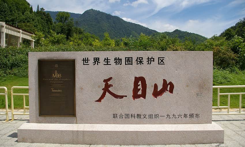 Stone Tianmu Mountain biosphere-reserve marker before forested slopes
