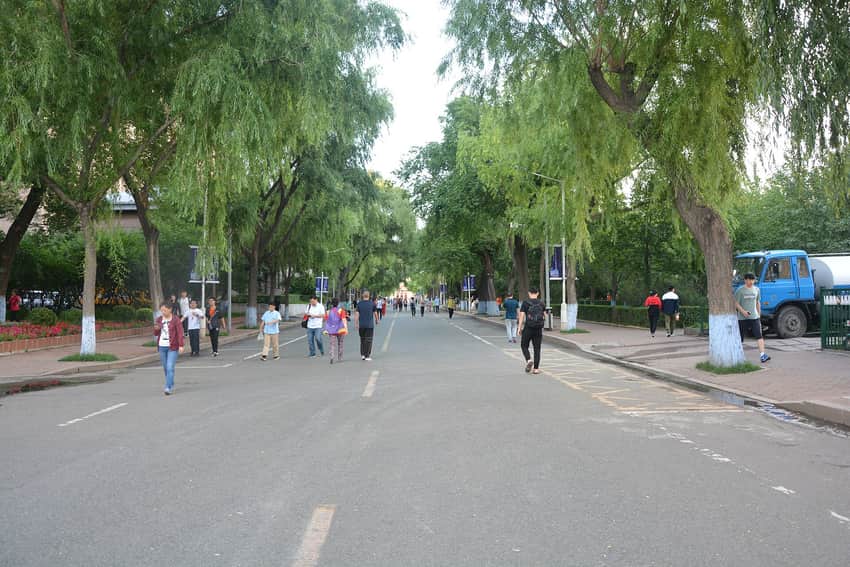 Tree-lined avenue on Harbin Institute of Technology's campus