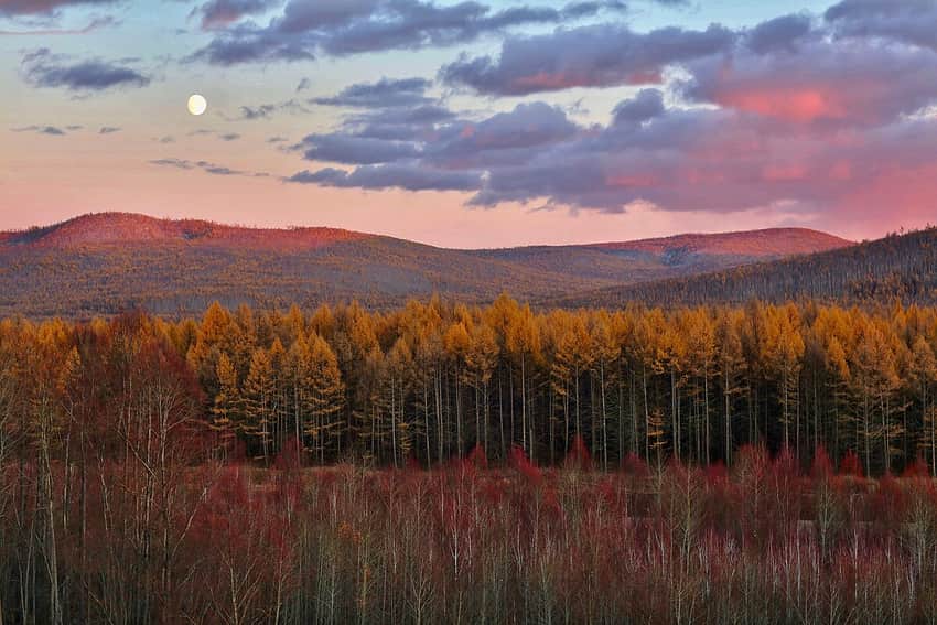 Greater Khingan forest in Hulunbuir