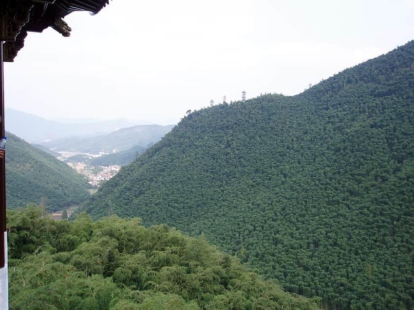 Anji bamboo landscape in Huzhou