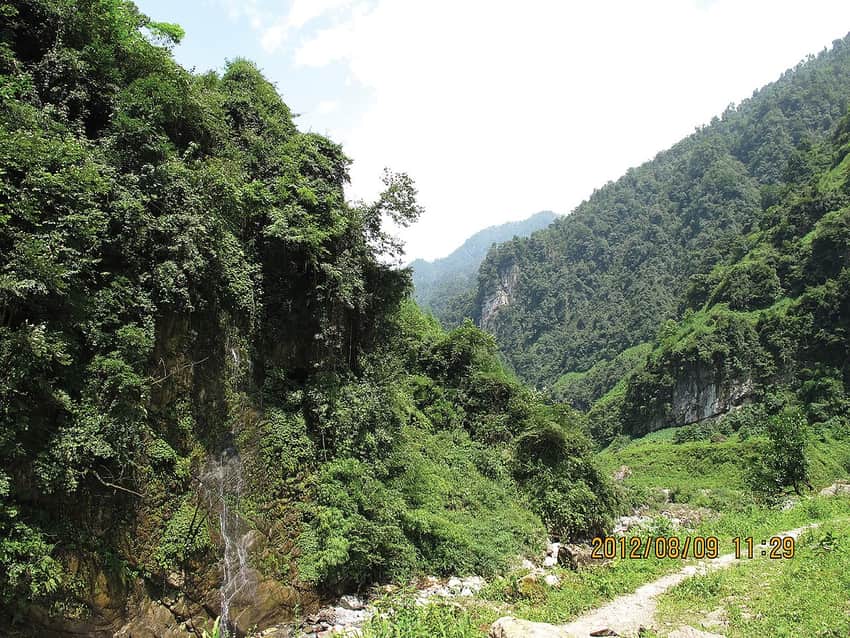 Forest valley habitat in Mabian Dafengding National Nature Reserve