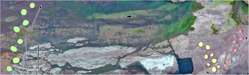 Scientific image and outline of sauropod trackways at Jinyuxi, Gulin County