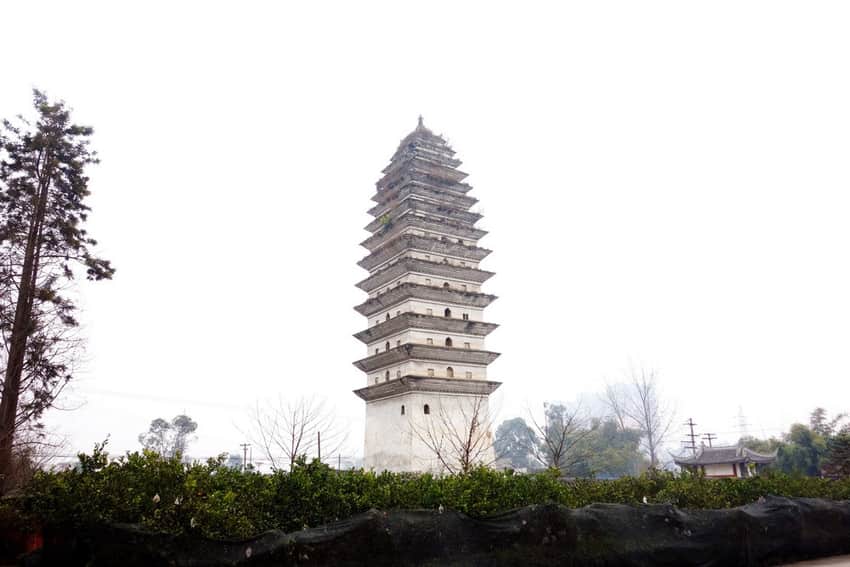 Danling White Pagoda among trees