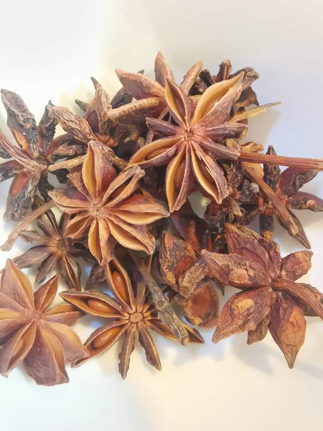Dried star-anise pods photographed in Nanning