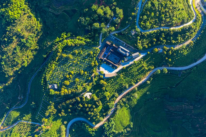 Aerial view of patterned tea terraces, forest and estate buildings in Anxi
