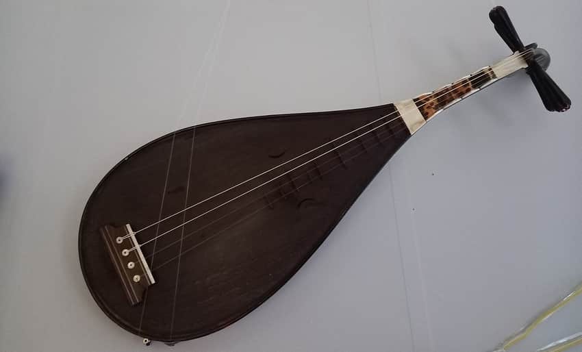 Dark wooden Nanguan pipa photographed against a plain light surface