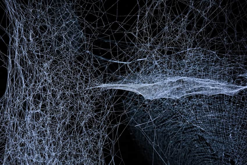 White filament installation suspended in a dark gallery at Power Station of Art