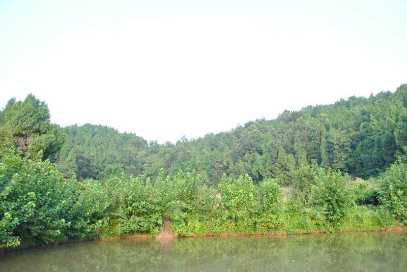 Pond and orchard landscape in Pengxi