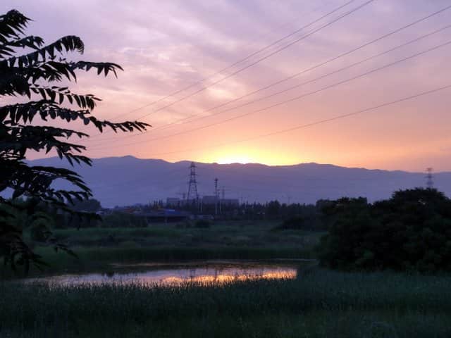 Small dated 2010 sunset view of reeds and water in the Fen River wetland