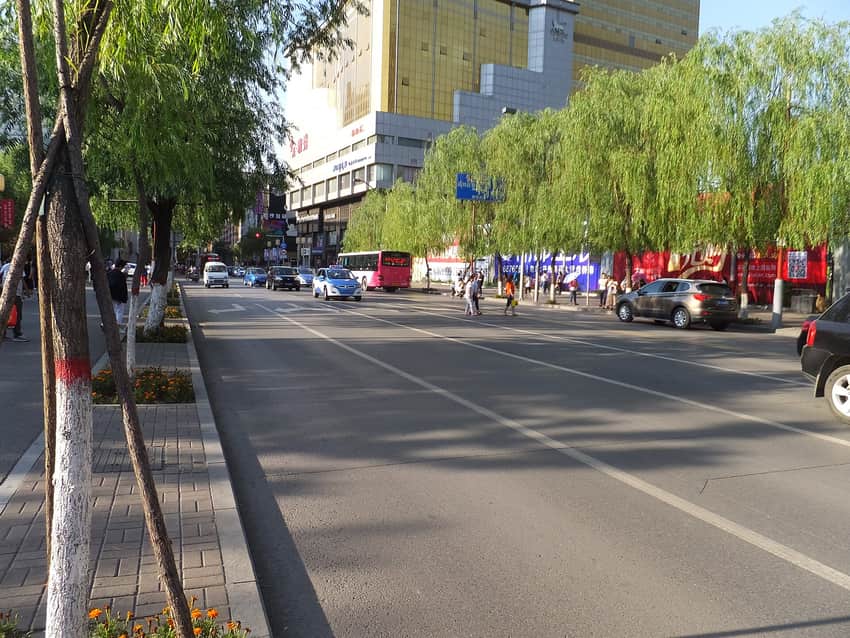 Trees, buses, cars, pedestrians and retail facades on a dated Liuxiang South Road