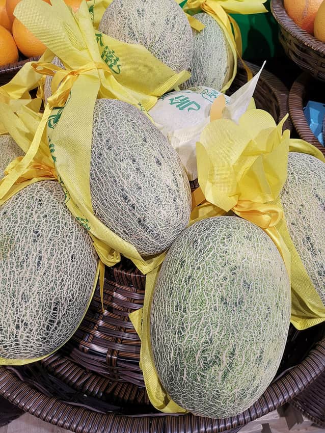 Xizhou melon in the Urumqi city profile