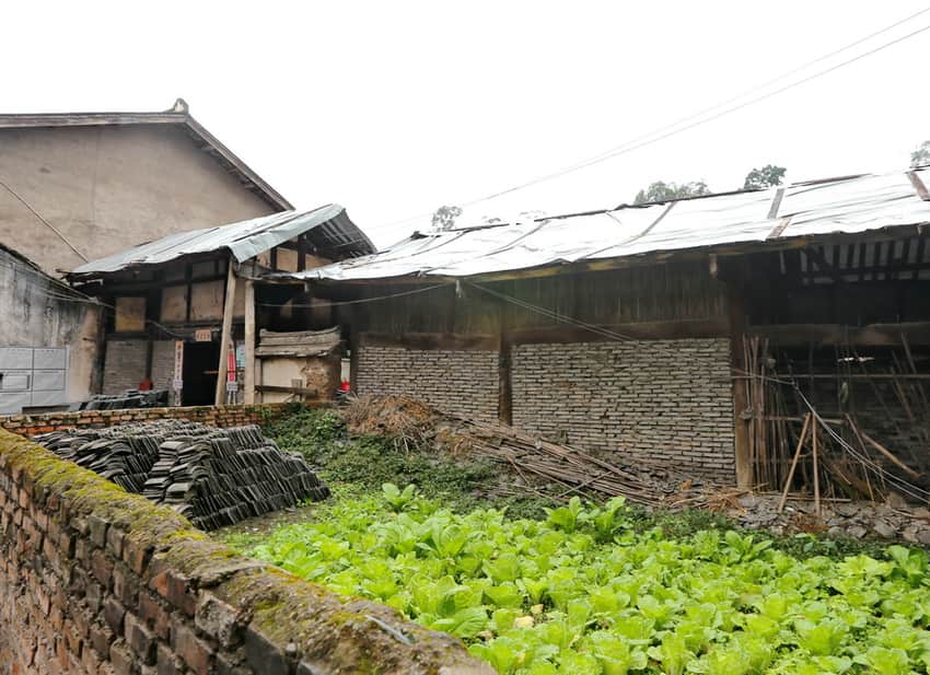 Working rear court with vegetables and stored tiles at Jiang family courtyard