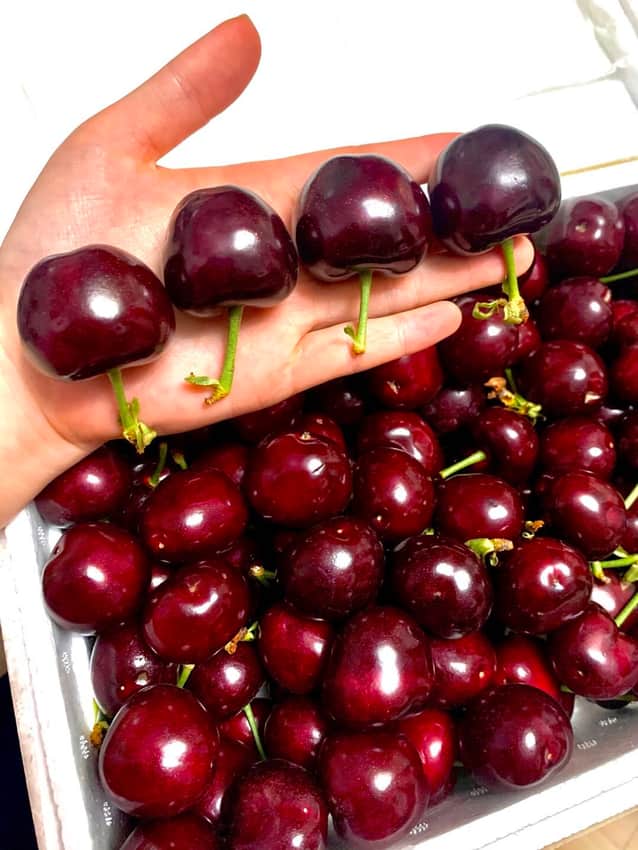 Yantai cherries in Yantai