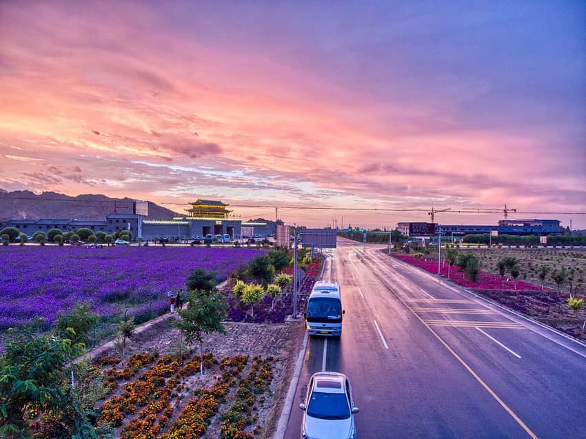 Zhangye flower fields in Zhangye