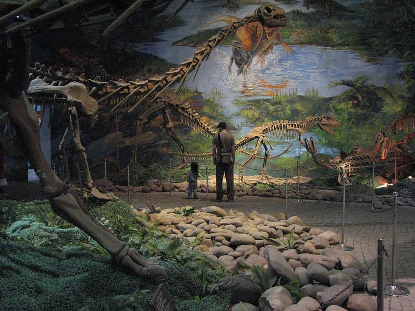 Mounted dinosaur skeletons inside Zigong Dinosaur Museum